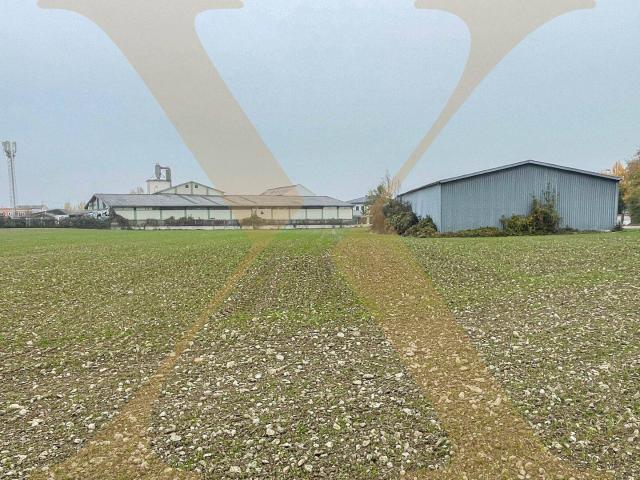 Immobilie kaufen in Rapperswinkel, Ansfelden