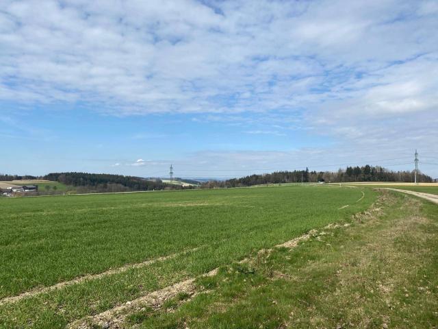 Immobilie kaufen in Lindet, Taiskirchen im Innkreis