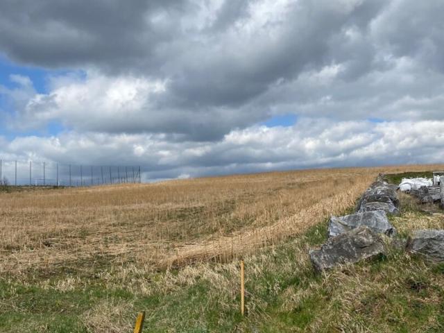 Grundstück kaufen in Els, Albrechtsberg an der Großen Krems