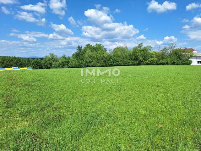 Gewerbe kaufen in Oberzeillern, Zeillern