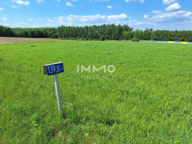 Grundstück kaufen in Zeillern, Niederösterreich