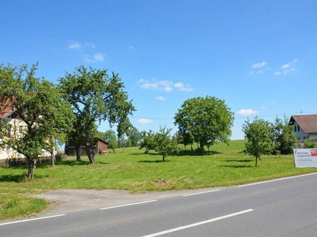 Immobilie kaufen in Neuhofen im Innkreis, Oberösterreich