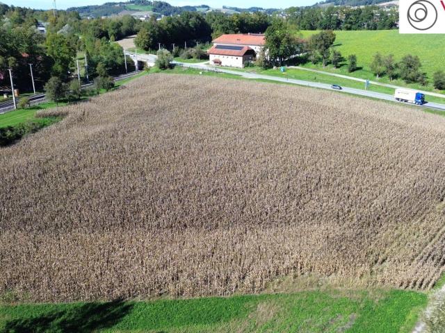 Grundstück kaufen in Wallern an der Trattnach, Oberösterreich