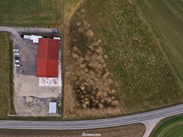 Immobilie kaufen in Oberau, Niederthalheim