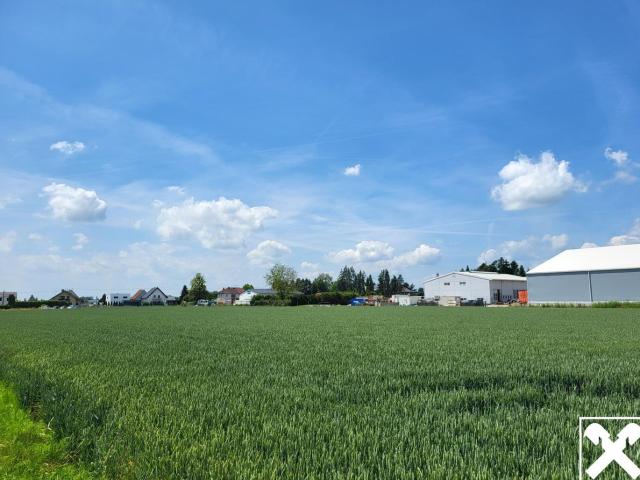 Grundstück mieten in Hörsching, Oberösterreich