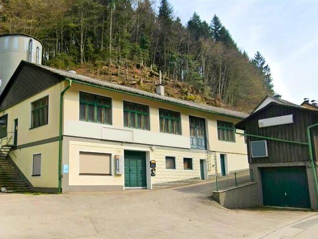 Gewerbe kaufen in Neustadtl an der Donau, Niederösterreich