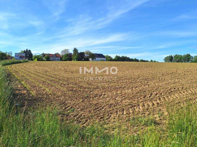 Immobilie kaufen in Bergland, Niederösterreich