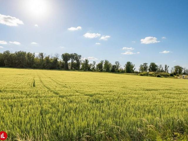 Grundstück mieten in Bruck an der Leitha, Niederösterreich