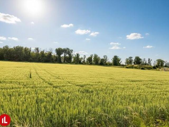 Grundstück mieten in Enzersdorf an der Fischa, Niederösterreich