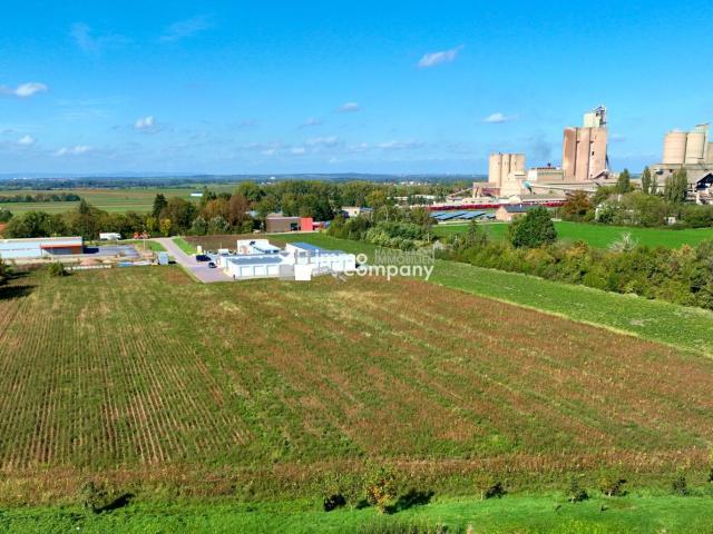 Grundstück kaufen in Mannersdorf am Leithagebirge, Niederösterreich