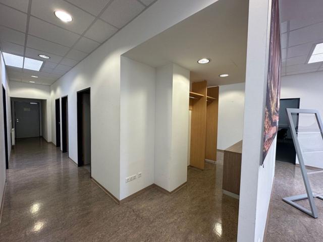 Gewerbe mieten in Guntramsdorf, Niederösterreich