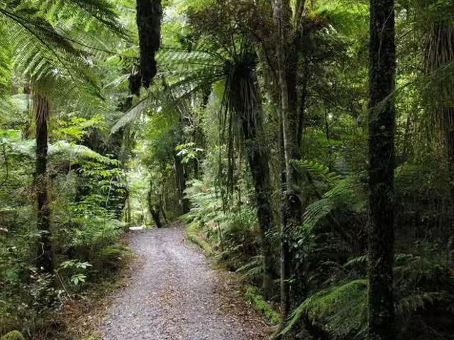 House for sale in Fox Glacier, West Coast
