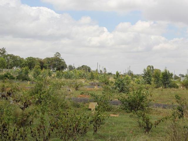 Land for sale in Karnataka