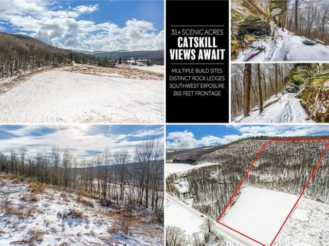 Farm for sale in Harpersfield, New York