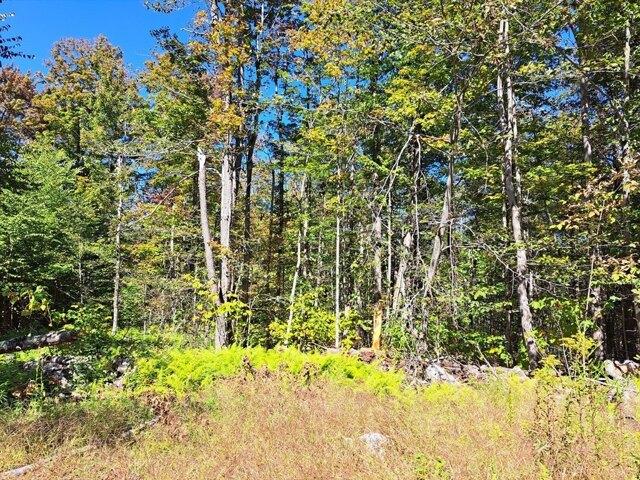 Land for sale in Hampden, Massachusetts