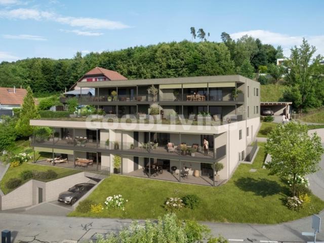 Terrassenwohnung kaufen in Kestenholz, Solothurn