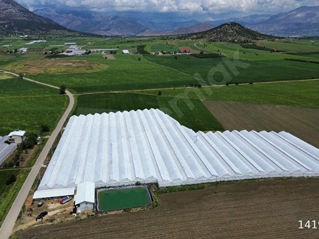 Elmali, Antalya içerisinde satılık Arsa