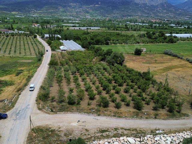 Elmali, Antalya içerisinde satılık Arsa