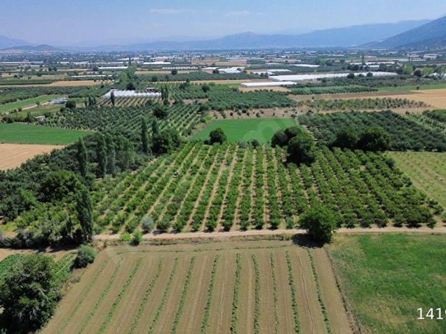 Elmali, Antalya içerisinde satılık Arsa