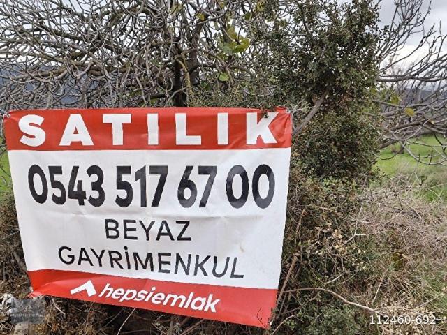 Ödemiş, İzmir içerisinde satılık mülk
