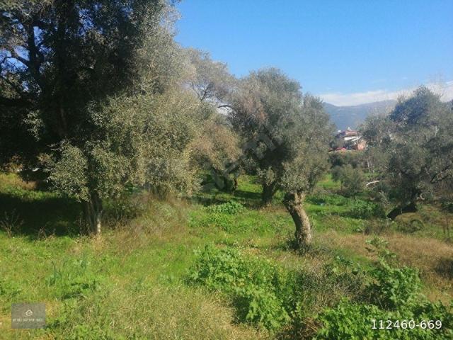 Ödemiş, İzmir içerisinde satılık mülk