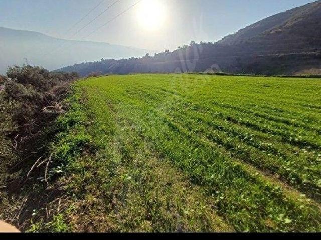 Beydağ, İzmir içerisinde satılık mülk
