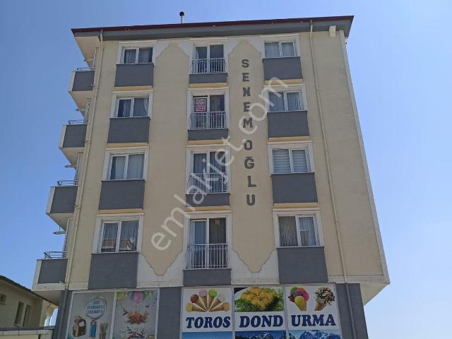 Bilecik Merkez, Bilecik içerisinde kiralık mülk