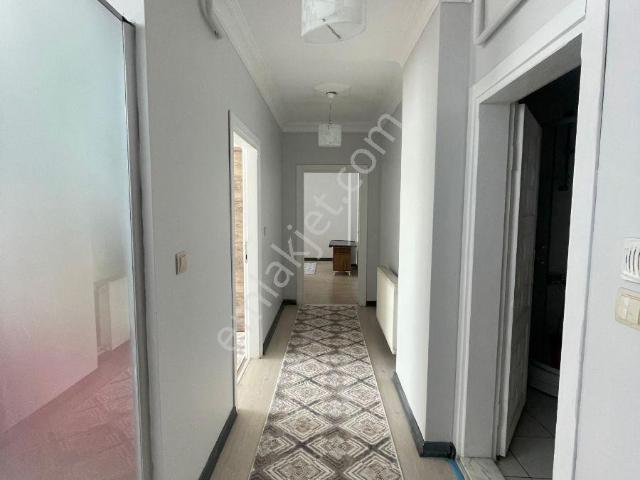 Bilecik Merkez, Bilecik içerisinde kiralık mülk