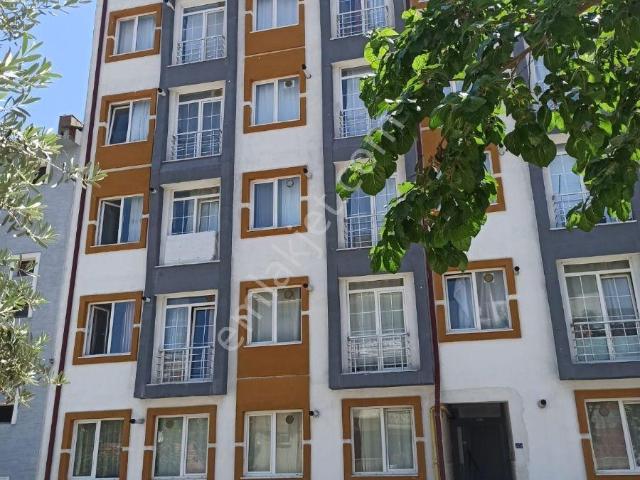 Bilecik Merkez, Bilecik içerisinde kiralık mülk