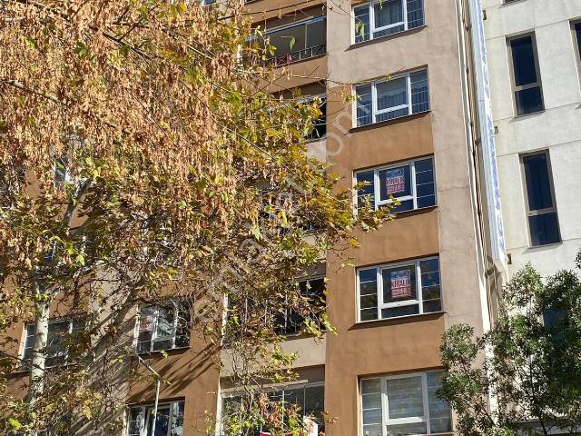 Bilecik Merkez, Bilecik içerisinde kiralık mülk