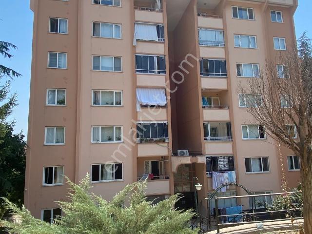 Bilecik Merkez, Bilecik içerisinde kiralık mülk