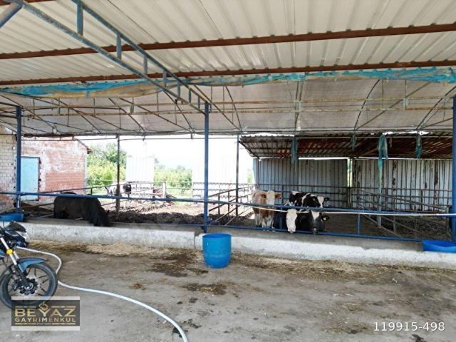 Turgutlu, Manisa içerisinde satılık Fabrika