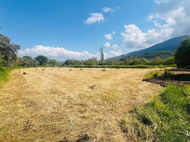Milas, Muğla içerisinde satılık Arsa
