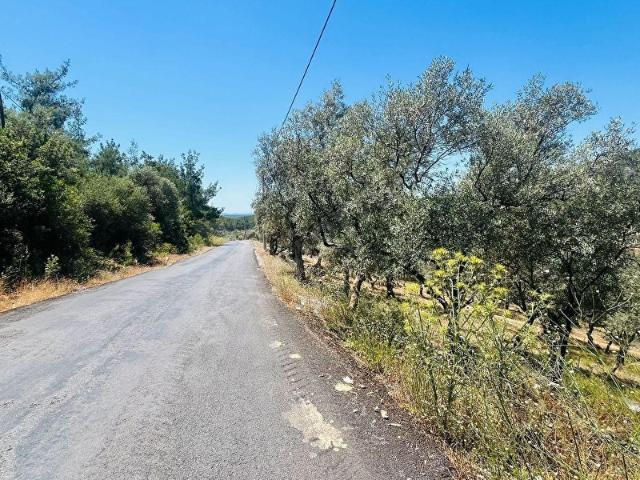 Milas, Muğla içerisinde satılık mülk