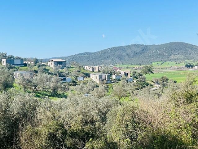 Milas, Muğla içerisinde satılık mülk