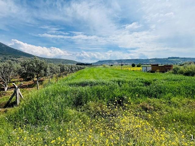 Milas, Muğla içerisinde satılık Arsa