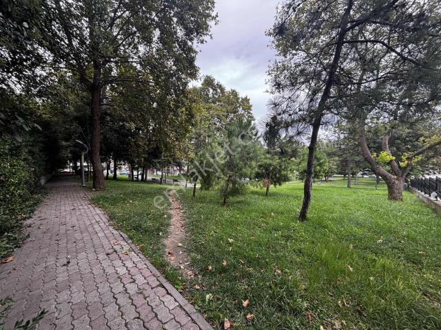 Bakirköy, İstanbul içerisinde satılık mülk