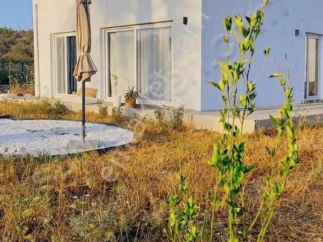 Milas, Muğla içerisinde kiralık Villa