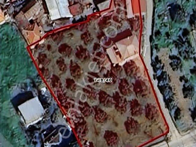 Nazilli, Aydin içerisinde satılık Villa