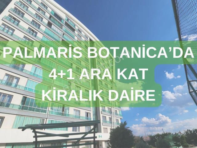 Selçuklu, Konya içerisinde kiralık mülk