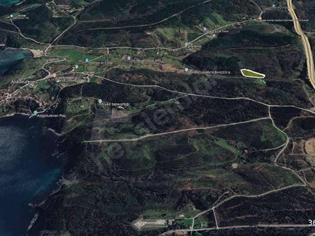 Beykoz, İstanbul içerisinde satılık mülk