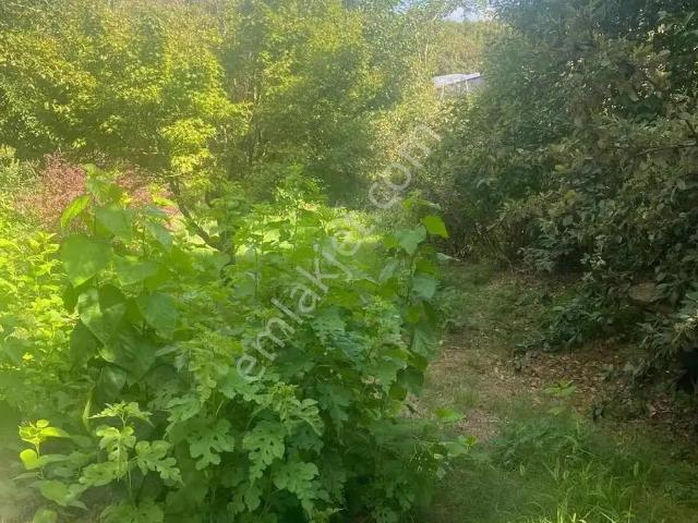 Beykoz, İstanbul içerisinde kiralık Villa