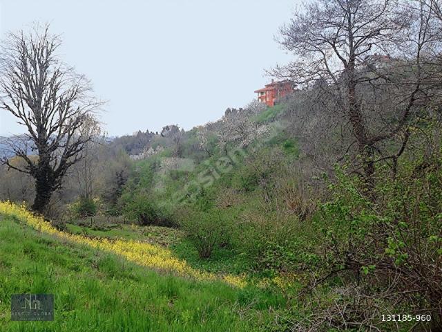 Beykoz, İstanbul içerisinde satılık Arsa