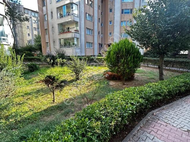 Beykoz, İstanbul içerisinde kiralık mülk