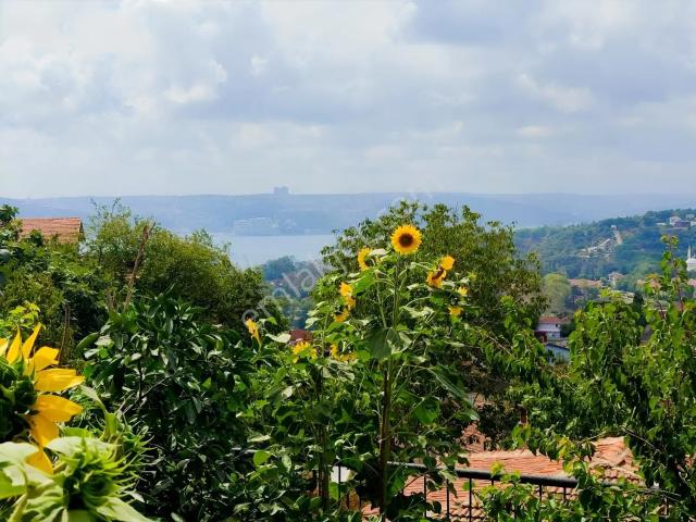 Merkez Mahallesi, Beykoz içerisinde kiralık mülk