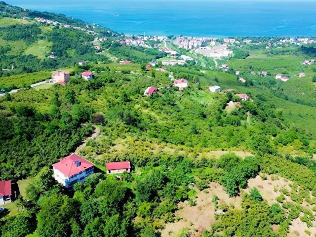 Beyli Mahallesi, Perşembe içerisinde satılık mülk