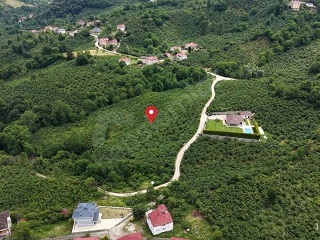 Ordu içerisinde satılık mülk