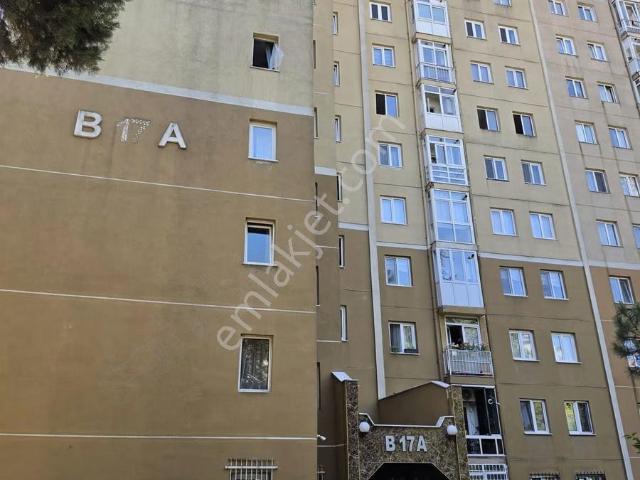 Beylikdüzü, İstanbul içerisinde kiralık mülk