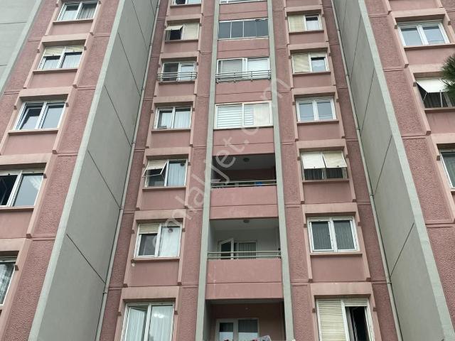 Beylikdüzü, İstanbul içerisinde satılık mülk