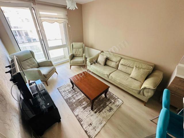 İstanbul içerisinde kiralık mülk
